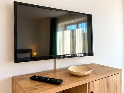 Televizor cu ecran plat